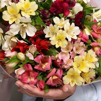 Букет из 15 альстромерий микс в корейской светлой упаковке