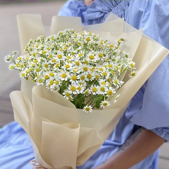 Букет из 9 кустовых ромашек (матрикарий)