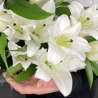 Букет из 5 белых лилий ориенталь (60 см)