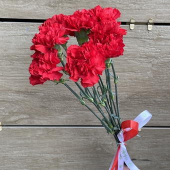 Букет из 9 красных гвоздик