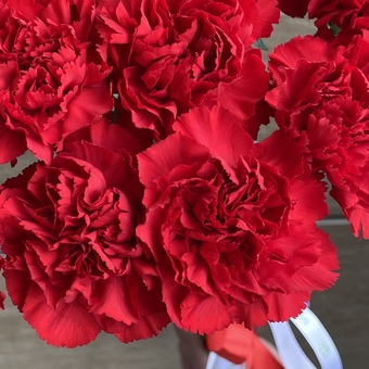 Букет из 15 красных гвоздик