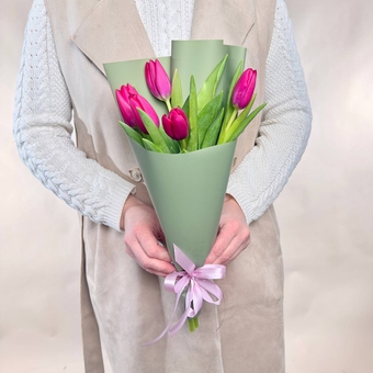Flowwow Комплект (255) Малиновые тюльпаны 5 шт., букет размера (S)
