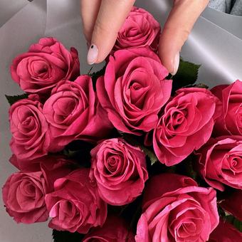 Букет из 15 роз Кения "Такази" (50 см) в матовой упаковке