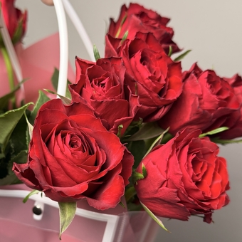 Сумочка с красными розами Кения