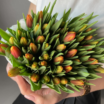 Охапка 50 тюльпанов двухцветные (Голландия)