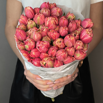 Охапка 50 пионовидных тюльпанов (Голландия)