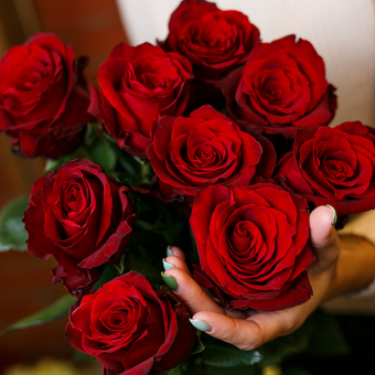 Букет из 9 красных роз 50 см (Эквадор)