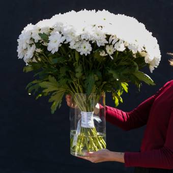 Набор 15 белых кустовых хризантем и ваза