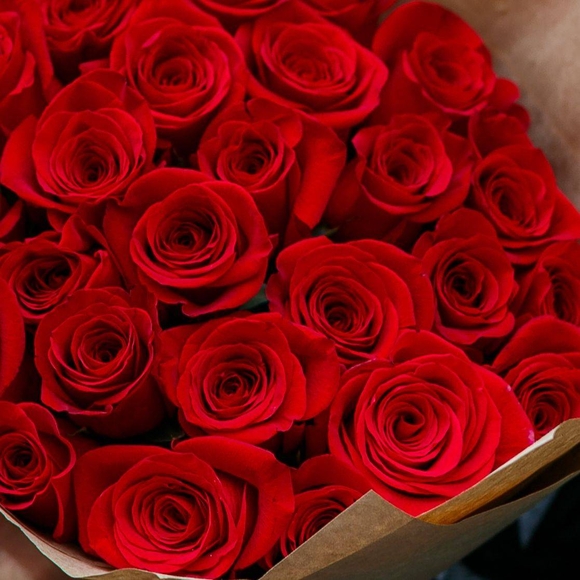 Букет из 25 красных роз 50 см (Эквадор)