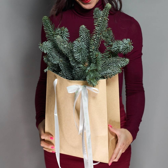Зимняя крафт-сумочка с ветками нобилиса (датской пихты)
