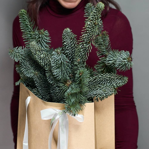 Зимняя крафт-сумочка с ветками нобилиса (датской пихты)
