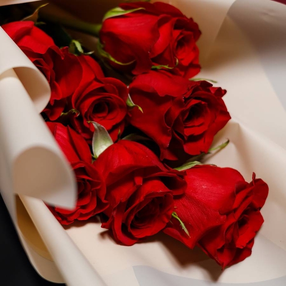 Букет из 7 красных роз 50 см (Эквадор)
