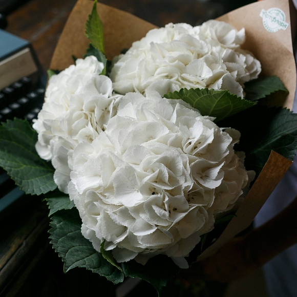 Букет из 3 белых гортензий