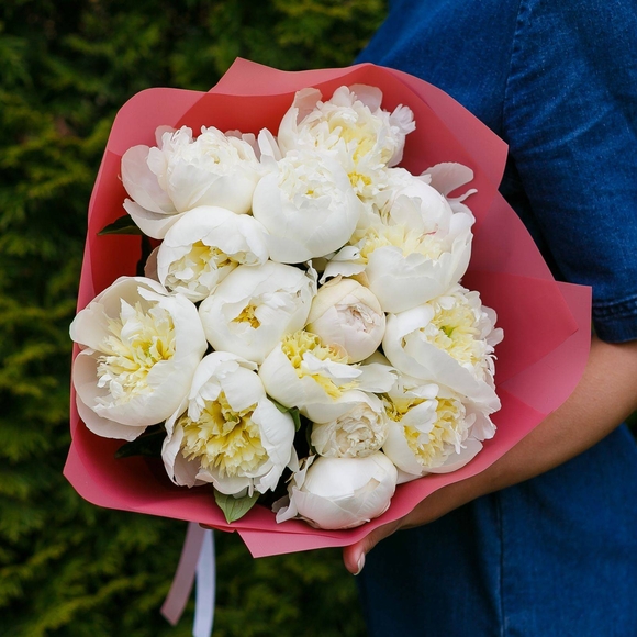 Букет из 15 белых пионов (Голландия) 