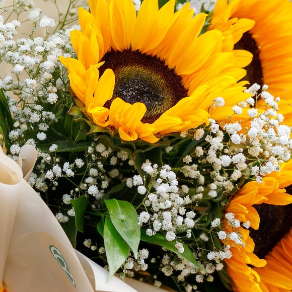 Букет из подсолнуха и гипсофилы - М