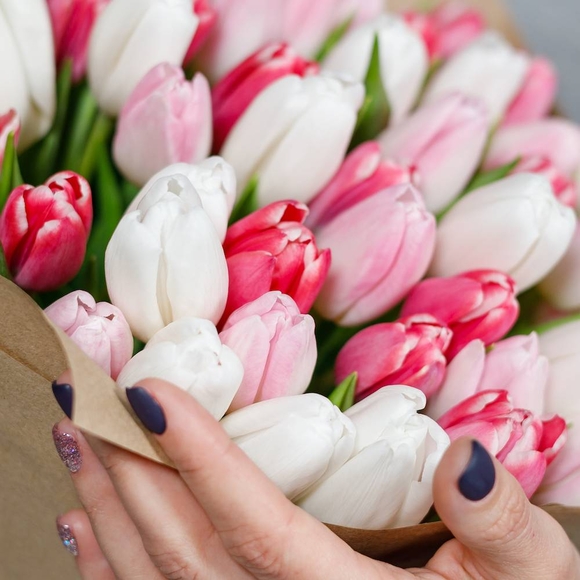 Тюльпаны поштучно нежный микс (Голландия)