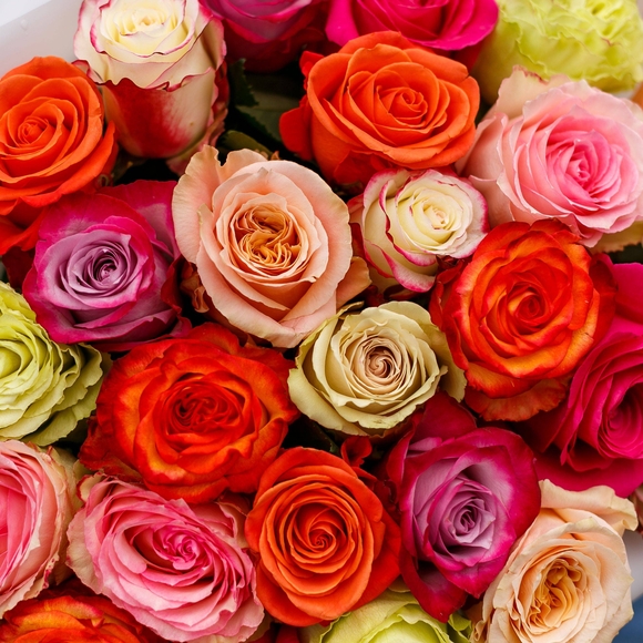 Букет из 25 роз микс 70 см (Эквадор)