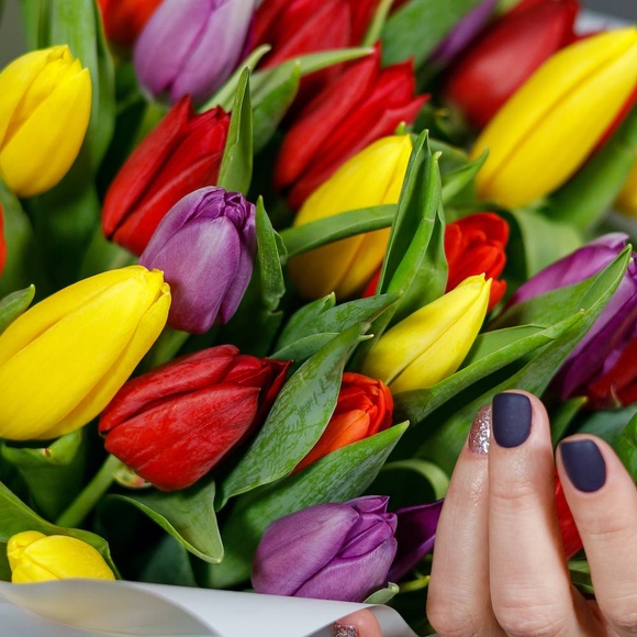 Тюльпаны поштучно яркий микс (Голландия)