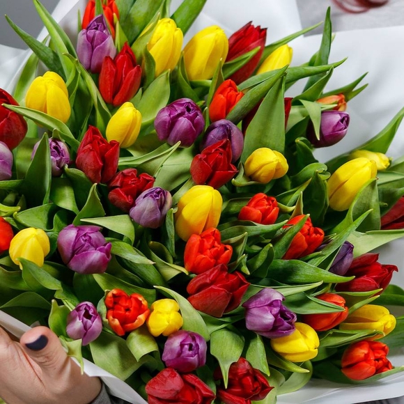 Тюльпаны поштучно яркий микс (Голландия)