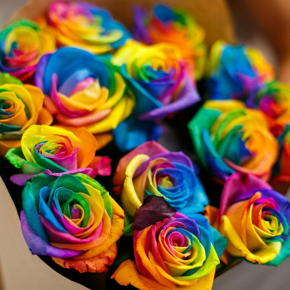 Букет из 15 радужных роз 70 см (Эквадор)