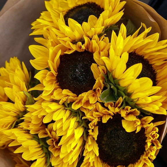 Букет из 7 подсолнухов