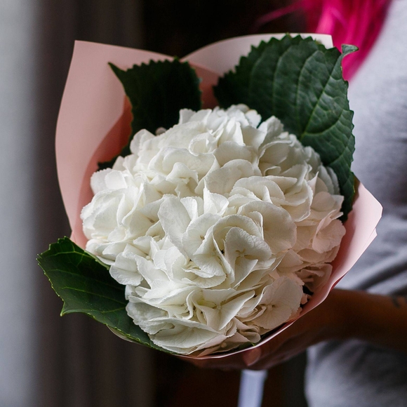 Букет из 1 белой гортензии