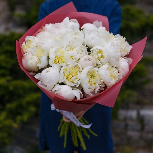 Букет из 25 белых пионов (Голландия)