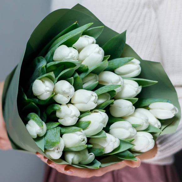 Букет из 25 белых тюльпанов