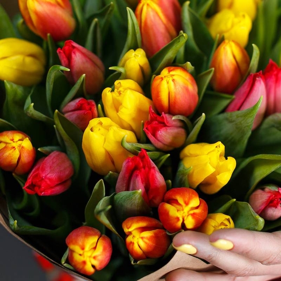 35 тюльпанов микс