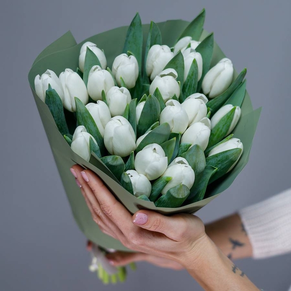 Букет из 25 белых тюльпанов