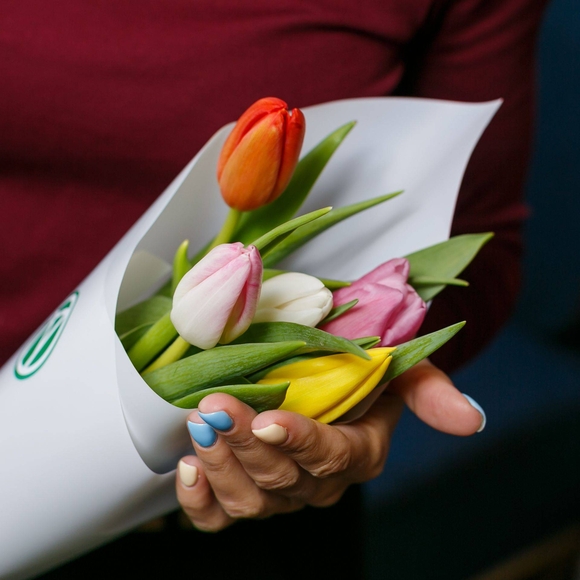 5 тюльпанов микс в белой упаковке