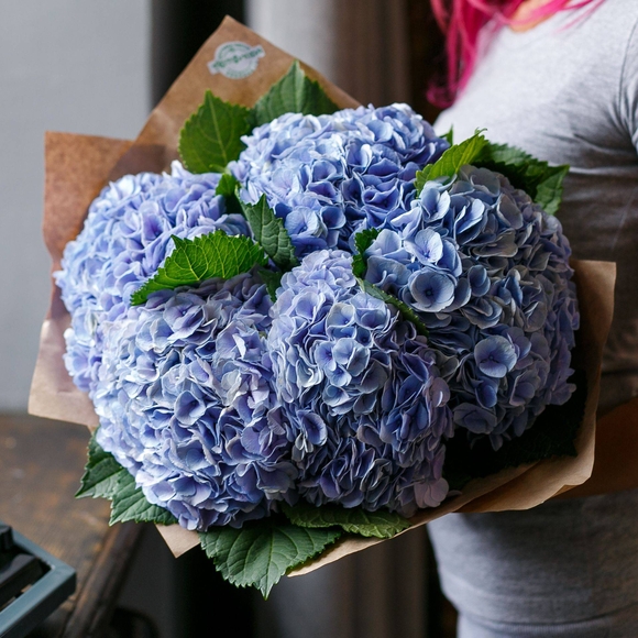 Букет из 5 голубых гортензий