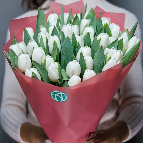 Букет из 51 белого тюльпана