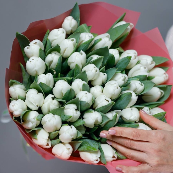 Букет из 51 белого тюльпана