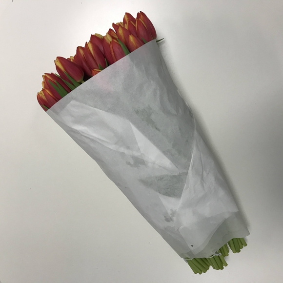 Тюльпаны оптом от 50 шт двухцветные (Голландия) 