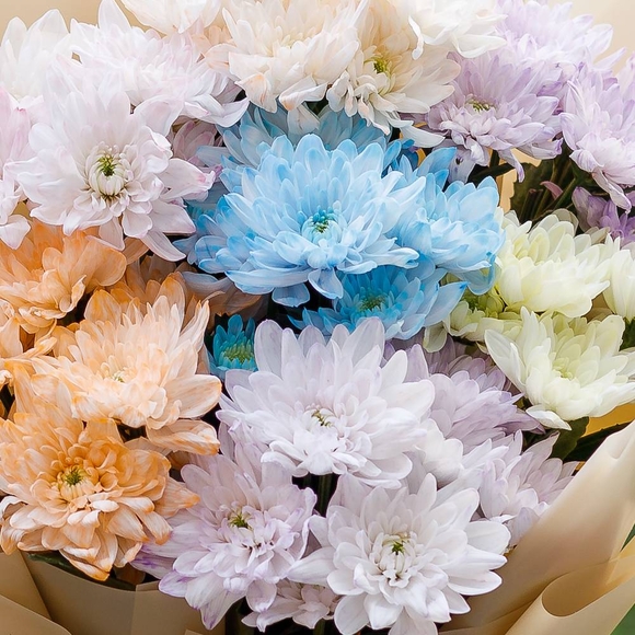 Букет из 7 кустовых хризантем нежный микс