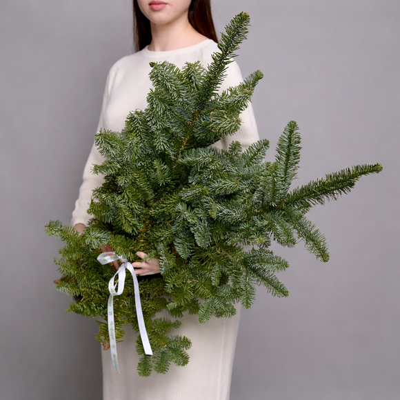 Охапка нобилиса - S