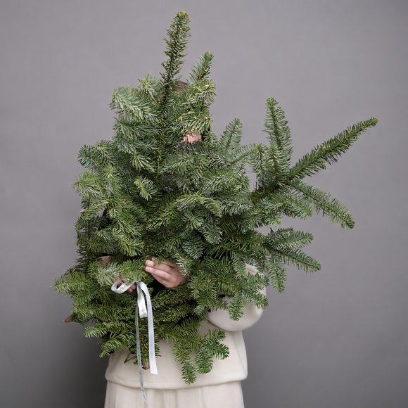 Охапка нобилиса - S