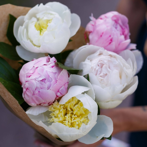 Букет из 5 пионов микс (Голландия) 