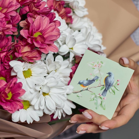 Набор размер S с букетом из 9 белых и розовых кустовых хризантем Бакарди (ромашка) в корейской упаковке