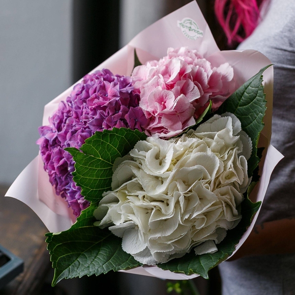 Букет из 3 гортензий микс