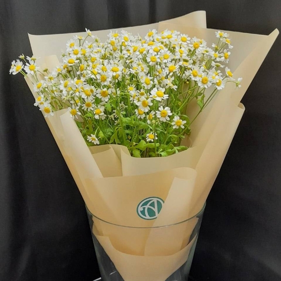 Букет из 9 кустовых ромашек (матрикарий)