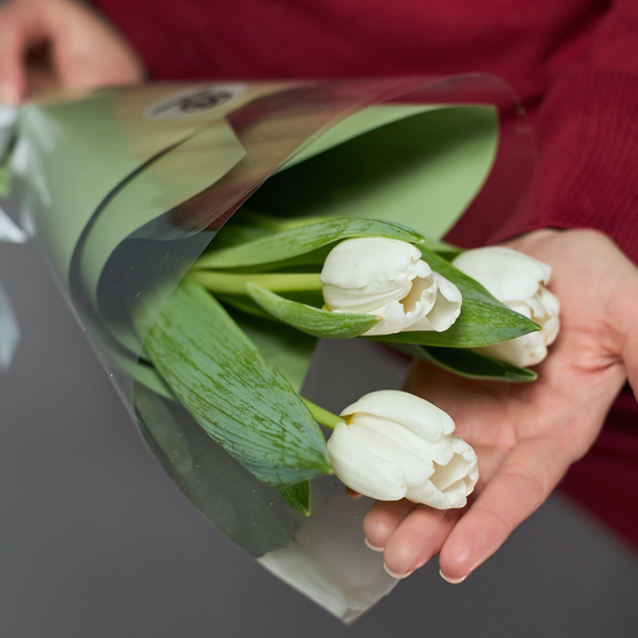 3 белых тюльпана