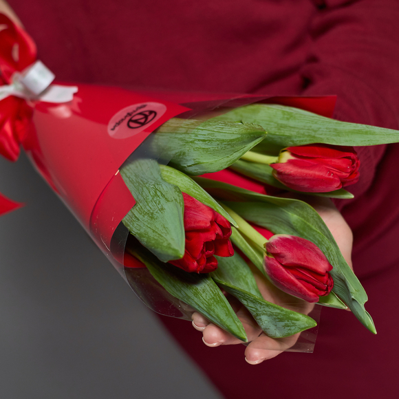 3 красных тюльпанов
