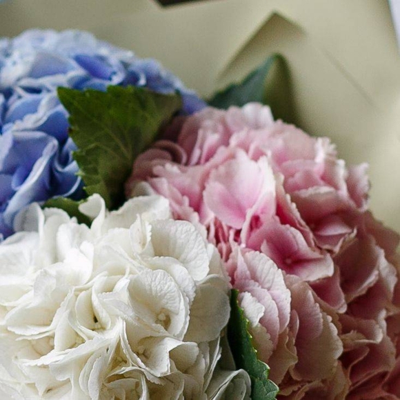 Букет из 5 гортензий микс