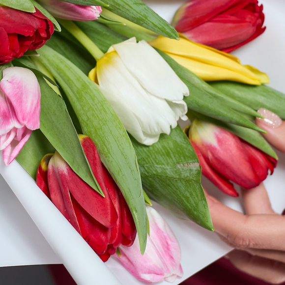 11 тюльпанов микс в корейской упаковке