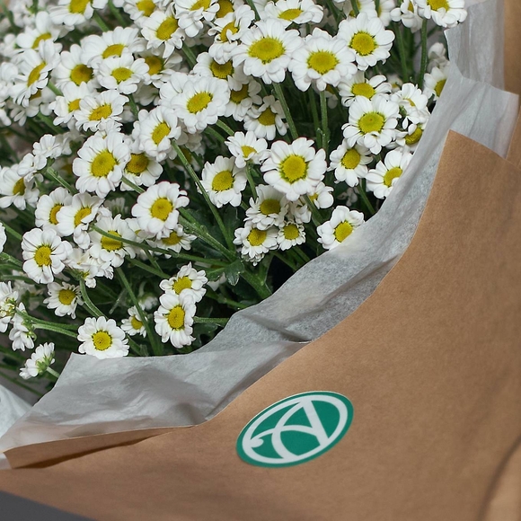 Букет из 7 белых кустовых хризантем Сантини