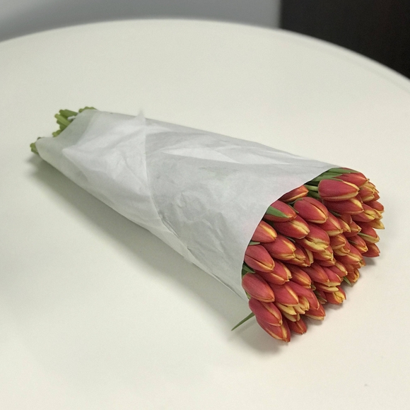 Тюльпаны оптом от 50 шт двухцветные (Голландия)