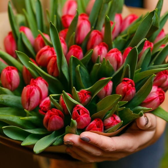 Букет из 51 красного тюльпана