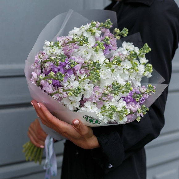 Букет из 25 маттиол микс